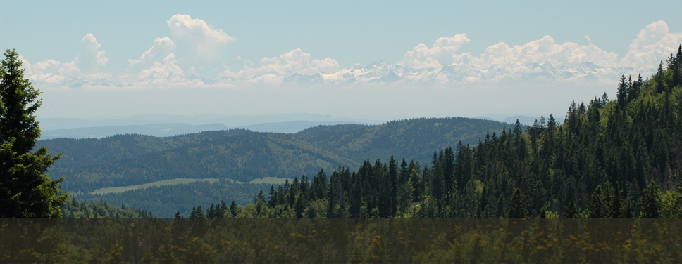 feldberg