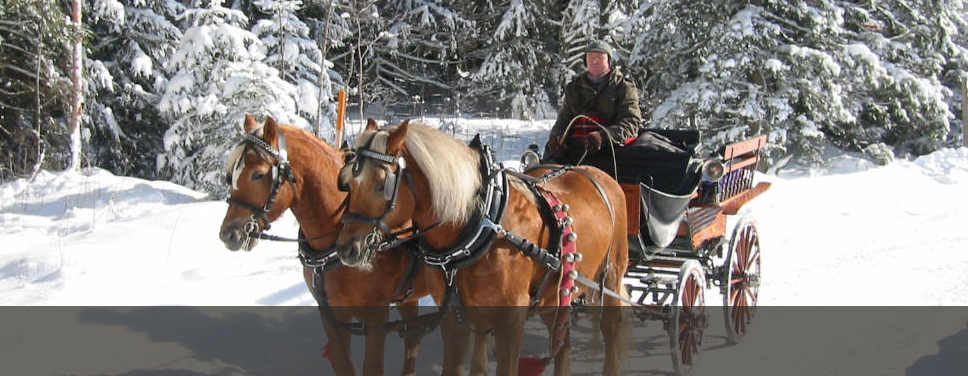 feldberg