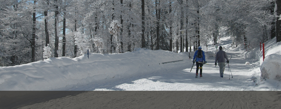 feldberg