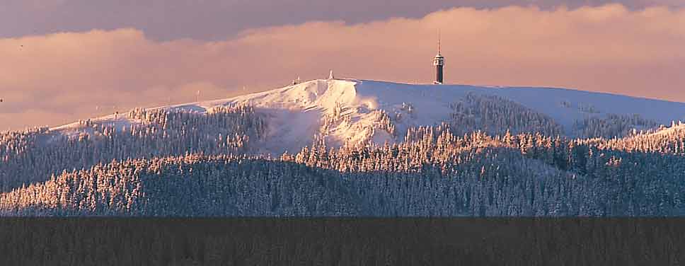 Feldberg